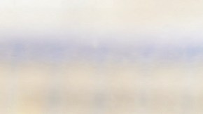 Bruno Marioni no será más el técnico de los Pumas con miras al torneo Apertura 2019