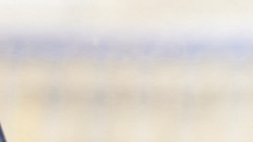 Bruno Marioni no será más el técnico de los Pumas con miras al torneo Apertura 2019