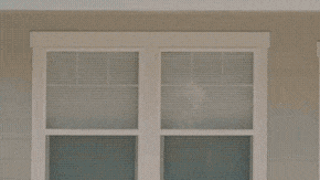 Digit puede cargar 40 libras