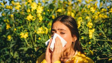 alergia polen