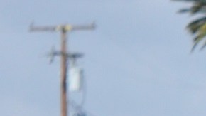 Muchos inmigrantes llegan a EEUU solo con una mochilita. / fotos: Alejandro Cano.