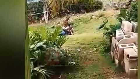 Un niño en pañales presenció parte de la escena.