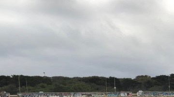 El Centro de Mamíferos Marítimos realizará una necropsia para identificar la causa de su muerte.