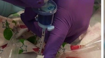 Imágenes del video publicado por el Hospital Sharp Mary Birch.