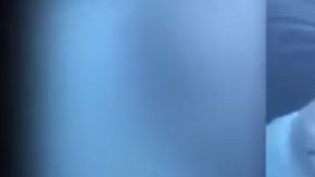 La beluga emergió del agua para devolverle el teléfono a su dueña.