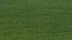 El auto no está ni oxidado, ni descuidado: su dueño le aplico un vinilo ('wrap') para hacerlo parecer un 'barnfind'