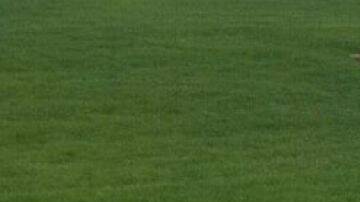 El auto no está ni oxidado, ni descuidado: su dueño le aplico un vinilo ('wrap') para hacerlo parecer un 'barnfind'