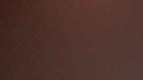 Bitcoin 2021 la conferencia más grande sobre criptomonedas llega a Miami.