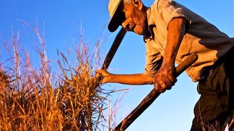Nicoya, Costa Rica, es una de las ciudades del mundo donde los residentes gozan de buena salud después de adultos./Cortesía