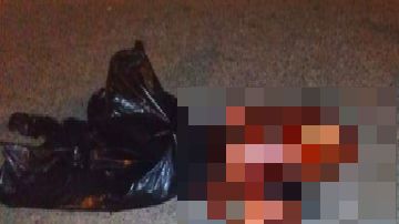 Brutalidad en Acapulco narcos se mandan sangriento mensaje con dos mutilados