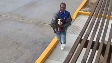 Un video de vigilancia de un estacionamiento muestra al adolescente con el cachorro,