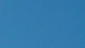 El cultivo de cáñamo de marihuana causa polémica en Texas.