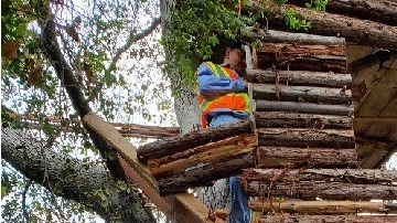 La casa del árbol estaba bien camuflada en las colinas justo al lado de McKinley Ave.