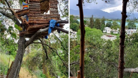 La casa del árbol estaba bien camuflada en las colinas justo al lado de McKinley Ave.