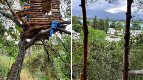 La casa del árbol estaba bien camuflada en las colinas justo al lado de McKinley Ave.