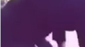 Un hombre pateó a un gato y subió el vídeo a internet.