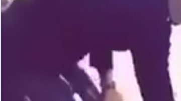 Un hombre pateó a un gato y subió el vídeo a internet.