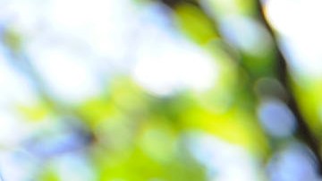 Las segundas y terceras generaciones en EEUU tienen el español como una lengua de herencia, asegura Retis.