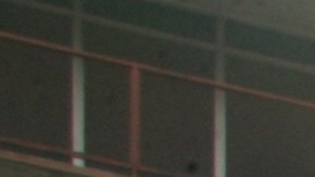 Los grupos de ballet folklórico no pueden faltar.