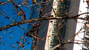 San Jose es una de las ciudades más ricas gracias a las grandes empresas de tecnología que pagan muy buenos sueldos.