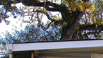 El ingreso promedio por hogar de esta ciudad es de  tan sólo $27,034 dólares.