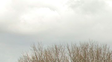 El informe dio a conocer que los vehículos pequeños suelen ser más letales que los grandes.