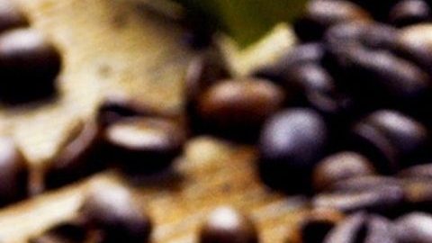 La cadena de restaurante compró el café en Panamá el verano pasado de la compañía que sólo había producido 45 kilos.