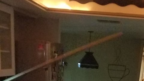 Nadie espera hallar un cocodrilo como este en la cocina.