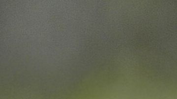 Ejecutan dos policías en México