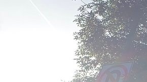 La calle en honor a Barack Obama en Los Ángeles.