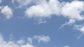 Algunos grupos piden que se prohíban las carreras de caballos en California. (suminsitrada)