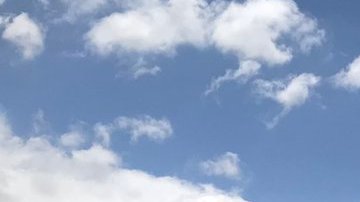 Algunos grupos piden que se prohíban las carreras de caballos en California. (suminsitrada)