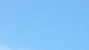 Dallas County Community College District.