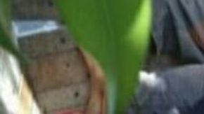 De terror Narcos dejan 8 cuerpos apilados dentro de vehículo en Chilpancingo México