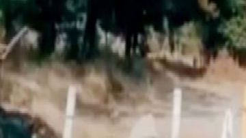 Del CJNG o de Los Viagras Cinco quedaron tan quemados que quizá nunca lo sabremos