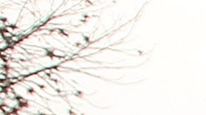 El reporte de 110 páginas para mejore el Departamento de Vehículos Motorizados (DMV) fue presentado el pasado 23 de abril.