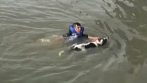 Un hombre salta a las frías aguas del East River para salvar a un perro.
