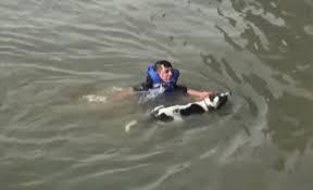 Un hombre salta a las frías aguas del East River para salvar a un perro. 