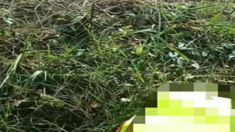 Ejecutado y narcomanta La Limpia imparable en la tierra de AMLO Tabasco
