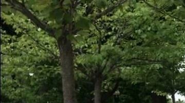 El titular de SRE, Marcelo Ebrard (izq.), sostuvo un encuentro en la Casa Blanca para abordar temas de la relación bilateral.