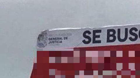 Gerardo Meade Benavides alias "La Perra" cártel del Golfo"