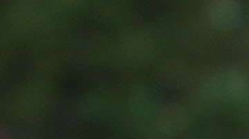 El presidente Trump aplicó el "privilegio Ejecutivo" en el informe de Mueller.