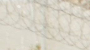 El precio oscila entre 5,000 y 7,000 dólares por un adulto con un niño