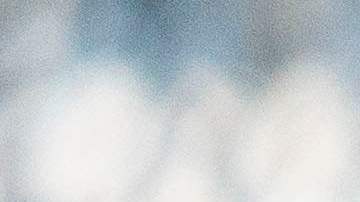 A Emma Coronel no le gustaría vivir en Nueva York.