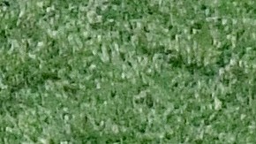 Jared Goff, QB de los LA Rams visita Oakland para medirse con los Raiders en juego de pretemporada de la NFL.