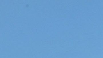 Maestros de Chicago se dirigen a Springfield para presionar por la junta escolar elegida.