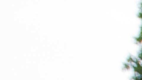 Hay regiones atrasadas en 50 años en Dominicana.