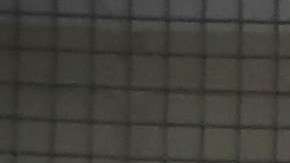 GEO Group administra varias cárceles privadas para inmigrantes.