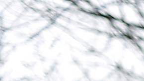 Ken Cuccinelli (i) y Rand Paul en una foto de julio de 2014.