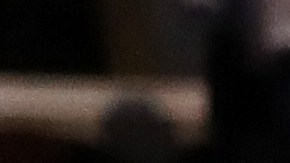 Cuccinelli sustituiría a L. Francis Cissna, que tiene amplía experiencia en derecho migratorio.